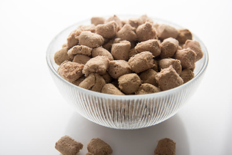 best freeze dried dog food