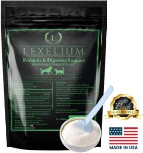 Lexelium Digestion Supplement for Dogs & Cats