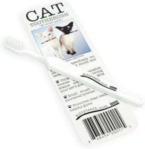 small cat toothbrush