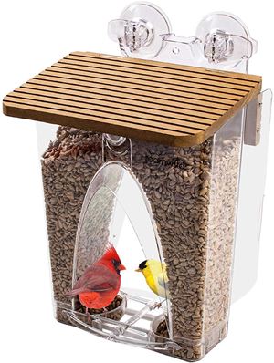 The 25 Best Window Bird Feeders of 2021 - Pet Life Today