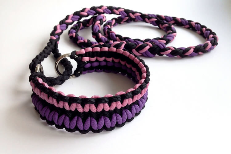 pet collars & leashes