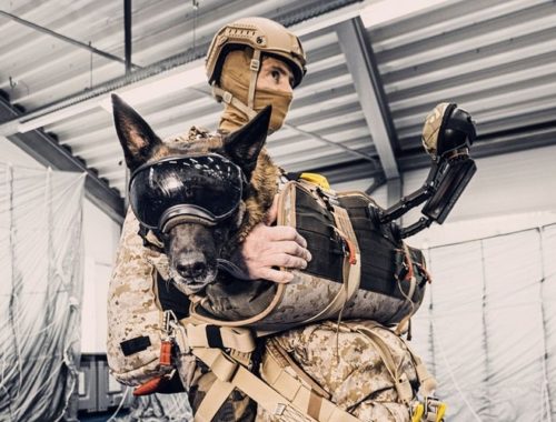 K9F dog parachute, dog with handler